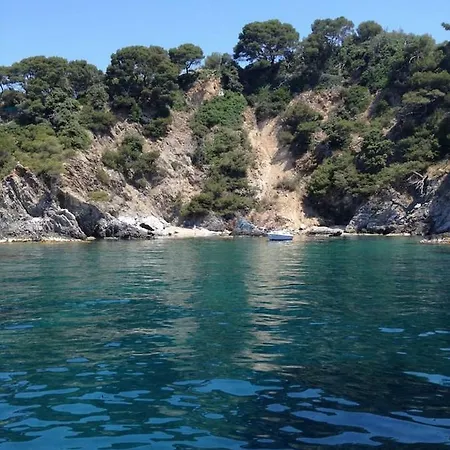 Giens Superbe Vue Mer A 180° Piscine Et Jacuzzi ヴィラ *